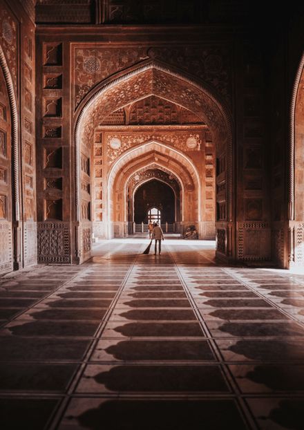 جماعت شیخ ہند اور تنظیم اسلامی}