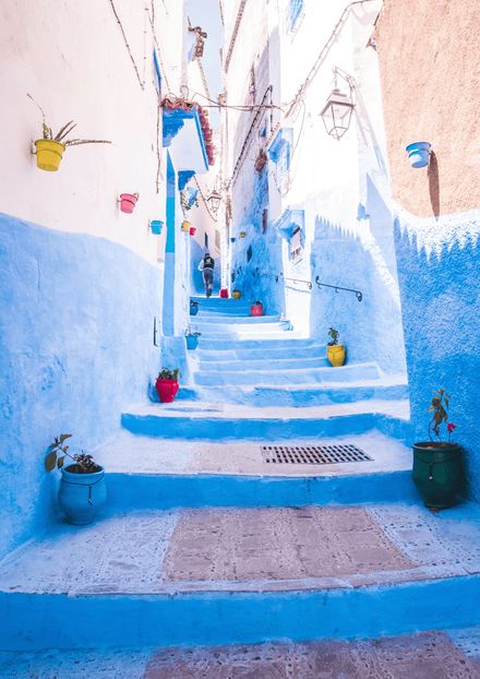 عربی زبان و ادب}