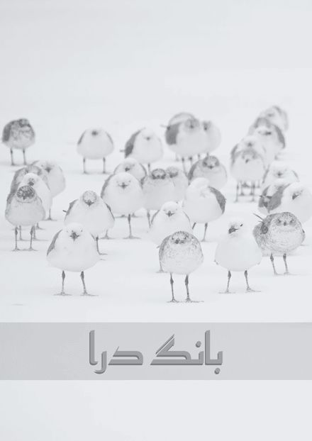 بانگ درا}