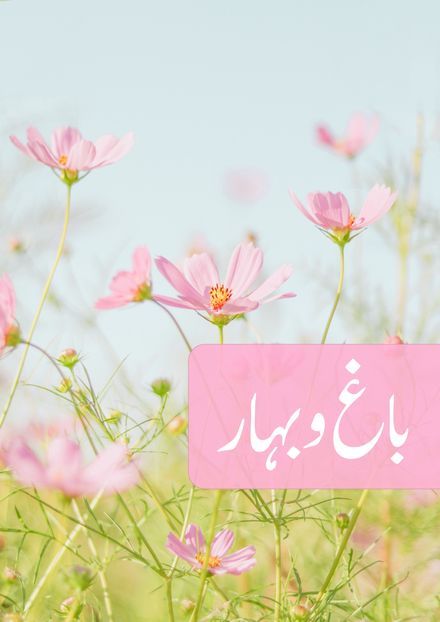باغ و بہار یعنی قصہ چہار درویش}