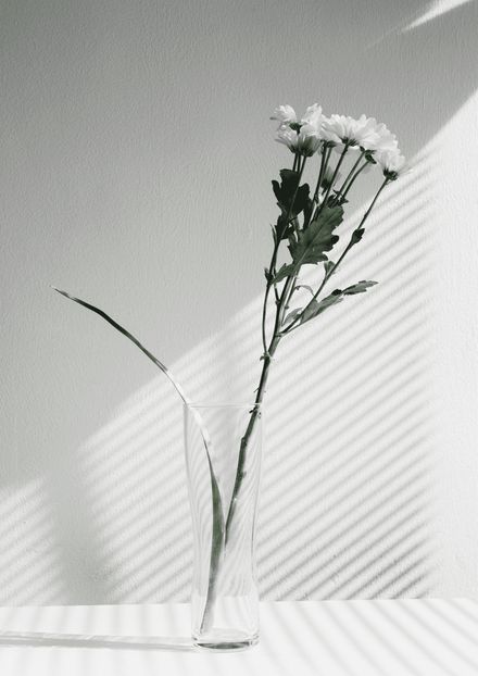 نورِ فطرت اور نورِ وحی}